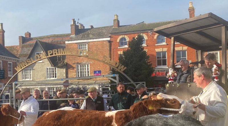 Winslow Prime Stock Show