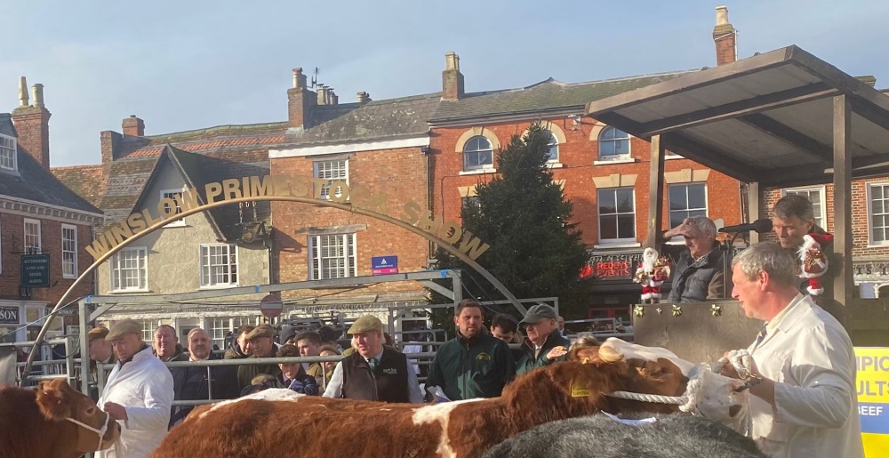 Winslow Prime Stock Show Highlights: Massive Farmer Support Amid Concerns Over Government’s Agricultural Agenda